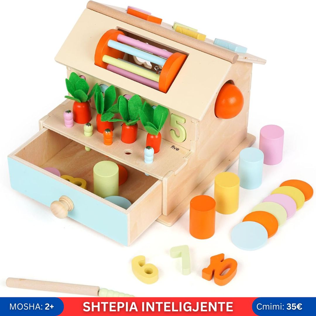 Shtëpia e inteligjencës - Full-featured intelligence house